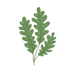 Green branch with spotted leaves. Oak leaves