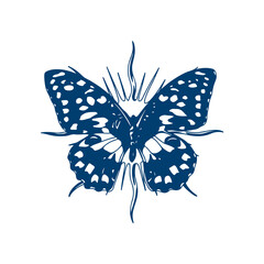 vector illustration of a blue butterfly