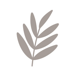 Palm three leaf element icon.