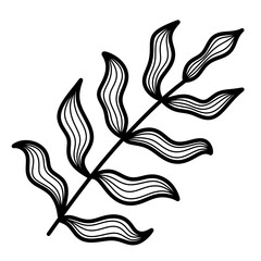 Doodle leaf of palm icon.