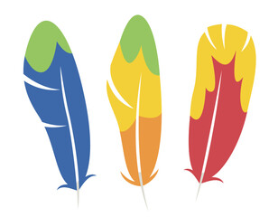 Set of parrot feathers in flat style. Beautiful design elements.