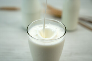 Glass of milk splash and on blue background ,Concept of farm dairy products.