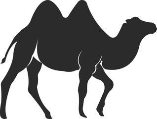 Wild animal camel. Camel with two humps.