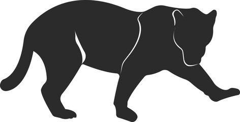 Wild animal panther. Black white image of an animal.