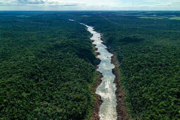 river in the rain forest of south america