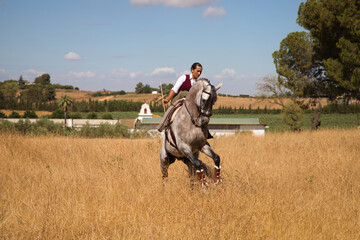 Young, beautiful Spanish woman on a brown horse in the countryside. The horse raises its front...