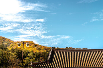 가을 단풍 놀이