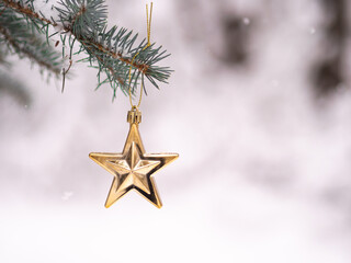 Złota bombka w kształcie gwiazdy na gałęzi choinki, święta, święta bożego narodzenia