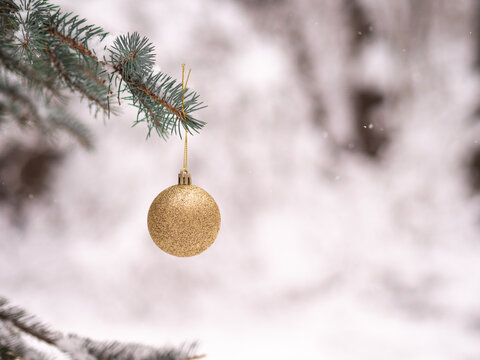 gold bauble on a Christmas tree branch