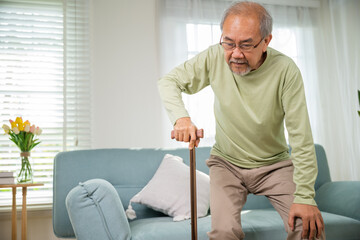 Naklejka na ściany i meble Asian Old man with eyeglasses typing to stand up from sofa with walking cane, Elderly suffering from knee pain ache holding handle of cane, senior disabled man holding walking stick at home