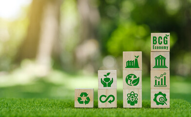 BCG concept for sustainable economy development. Bio economy, circle economy, green economy.