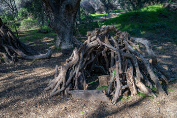 A hut in a clearing in the woods of Southern California