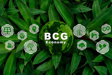 Bio-economy, circle economy, green economy.wooden cube with a BCG icon on a beautiful green...