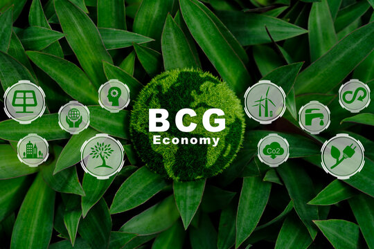 Bio-economy, circle economy, green economy.wooden cube with a BCG icon on a beautiful green background. The new economic model, or BCG model. BCG concept for sustainable economic development.