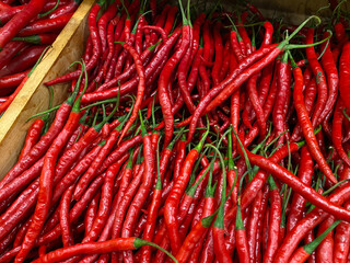 close up red Chili. chilis are used to make sambal in indonesia and often added as seasoning to add spicy flavour in Asian food. chili copy space. cooking reference