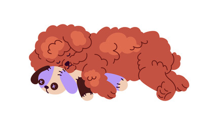 Cute dog of Poodle breed sleeping with toy. Little puppy asleep. Adorable sleepy doggy, curly fluffy fuzzy pup. Canine animal lying, relaxing. Flat vector illustration isolated on white background