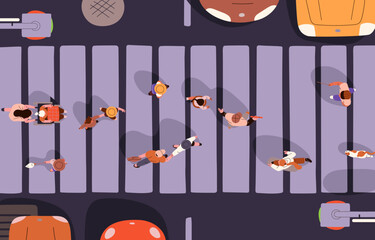 People crossing road on crosswalk, top view. Pedestrians in city street traffic from above. Group of citizens, kids, pets walking, going, hurrying on safety zebra overhead. Flat vector illustration