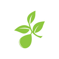 set of Olive logo vector illustration design