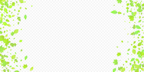 Leaves Falling Spring Flying Foliage Green Leaf