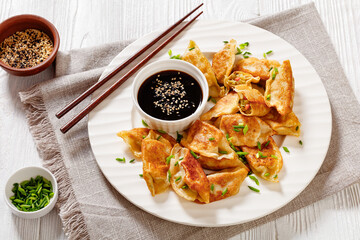 gyoza, wonton wrappers stuffed with pork, cabbage