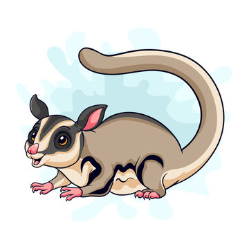 recommend clip art: Cartoon funny sugar glider isolated on white background