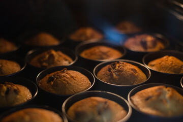 Cupcakes in oven in cookie cutters. Selective focus.