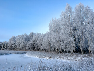 Winter view on the forest white of snow and hoar frost on the lake coast, selective focus