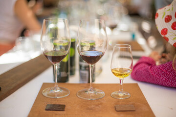 wine tasting at a wine farm in south africa