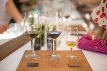 wine tasting at a wine farm in south africa