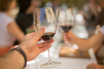 wine tasting at a wine farm in south africa