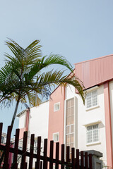 Fototapeta na wymiar Pink house and tropical tree in Da Lat, Vietnam