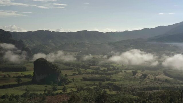 Stuning and peaceful green lanscape with movement of mist sea above at Phu Langka mountain in winter. One of Thailand's popular tourist attractions