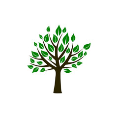  Tree icon. Decorative Tree Logo.