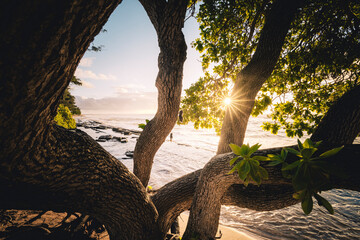 Sunrise in Kauai Island, Hawaii, USA - 555358515