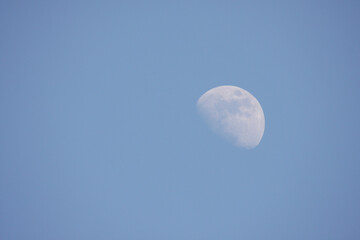 The moon against the blue, cloudless, summer sky, Lodz, Poland.