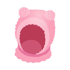 Winter Pink Hat Composition