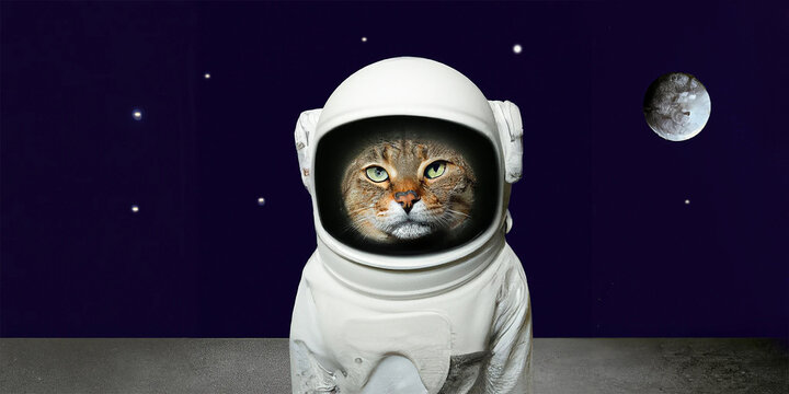 illustrazione di  gatto vestito con tuta spaziale con sullo sfondo la luna e le stelle        creato con intelligenza artificiale, AI