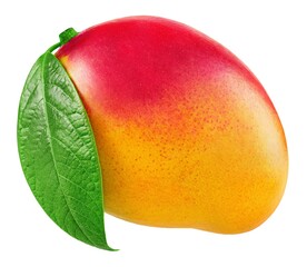 Mango fruit with leaf isolated on white background 