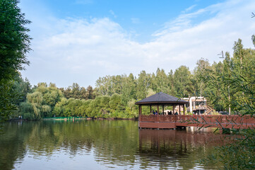 Fototapeta na wymiar Summer landscape: gazebo on Swan Lake in the Novosibirsk Zoo