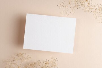 Invitation or greeting card mockup with dry gypsophila flowers
