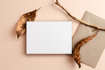 Invitation or greeting card mockup with envelope and nature decorations