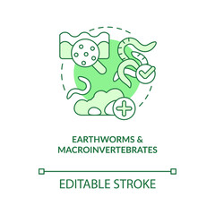 Earthworms and macroinvertebrates green concept icon. Soil health indicator abstract idea thin line illustration. Isolated outline drawing. Editable stroke. Arial, Myriad Pro-Bold fonts used