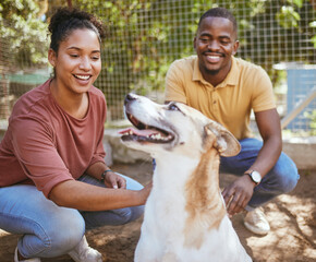 Black couple, dog and pet adoption at animal shelter for welfare, charity or help for homeless pets. Love, foster care and happy man and woman bonding, caring and touching animal at kennel outdoors.