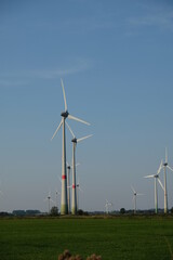 FU 2020-08-11 Fries T2 1390 Auf dem Feld stehen viele Windräder