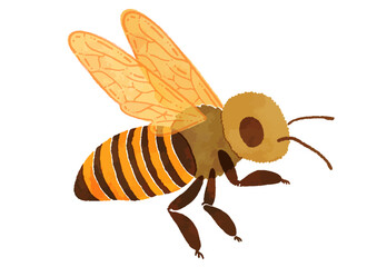 水彩タッチのミツバチのイラスト素材