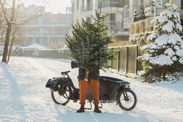 Man transporting Christmas tree on cargo bike 

