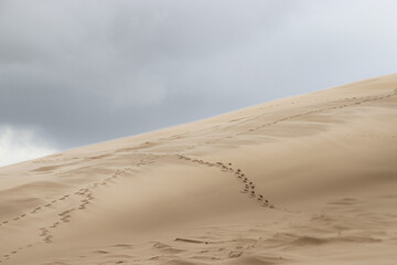Duna de Pilat, Francia