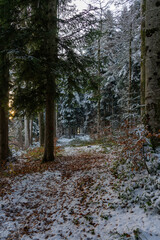 Fußweg durch den herbstlich gefärbten Wald mit erstem Schnee. geheimnisvoller Weg durch das Winterwunderland. Tanne und Fichte, Buche und Birke am Wegrand. Wanderweg im frühen Winter