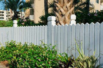 Destin, Florida- Plants near the painted white wood fence