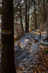 Parkbank aus Holz im Wald an einem Waldweg im Winter, erster Schnee im Wald. Herbstlaub von Schnee angezuckert, am Waldrand